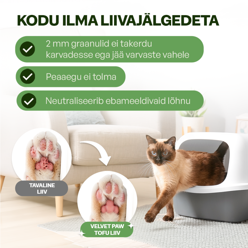 Velvet Paw TOFU kassiliiv — visuaal 2