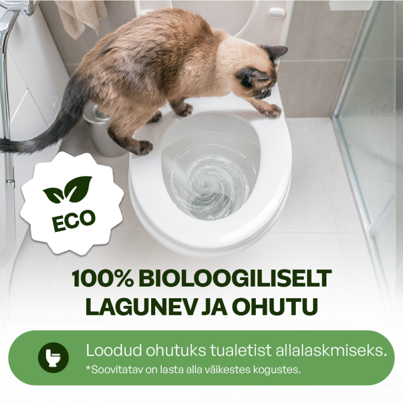Velvet Paw TOFU kassiliiv — visuaal 4
